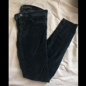 Velvet JBRAND jeans